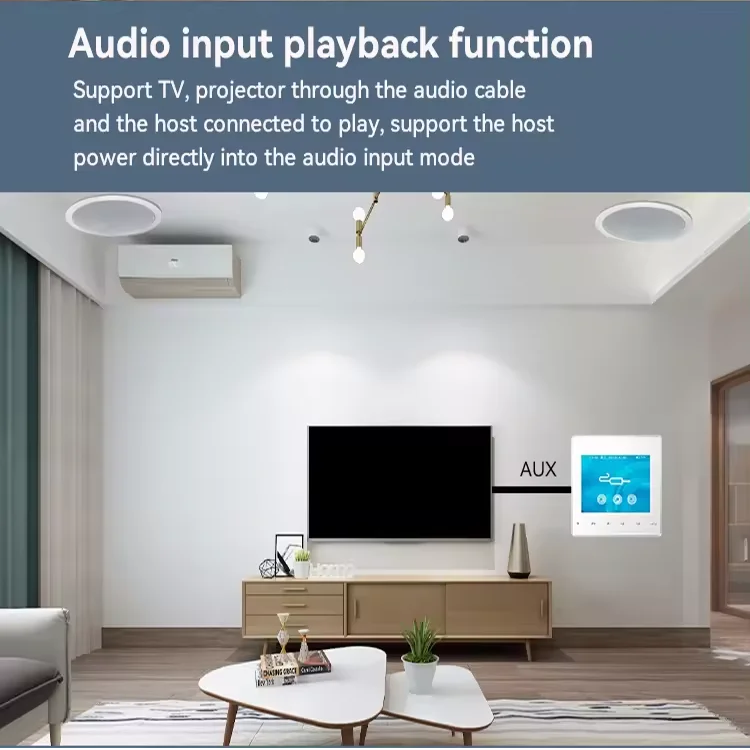 Home Bluetooth Wall Amplifier  - Home Cinema Receiver ulasan dan harga